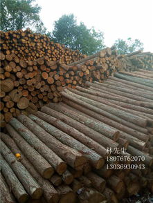 梧州木材代加工 林森茂木材加工厂欢迎各界朋友莅临参观